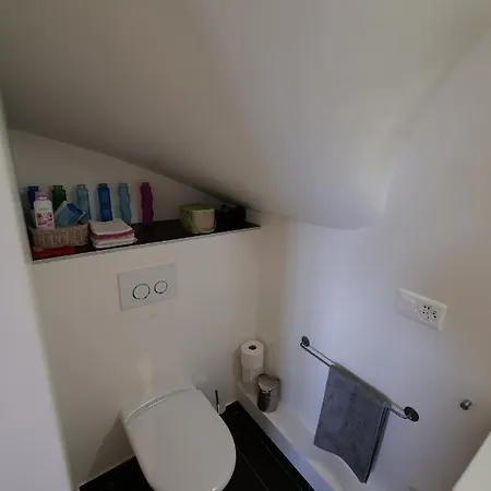 Libellules Appartement